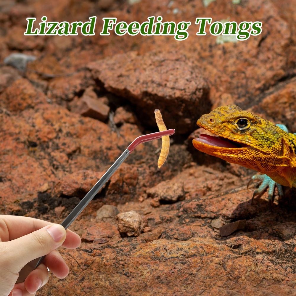 Feeding Tong Stainless - Neue 27 cm Aquarium Fütterung Pinzette