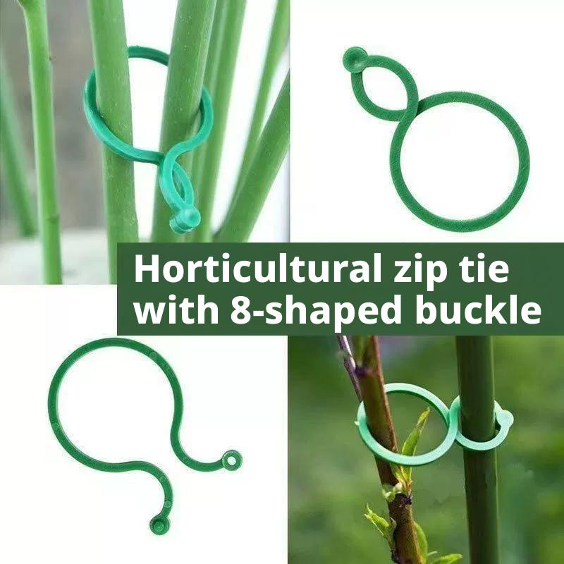 100 Stück Pflanzenstützklammer – Vine Climbing Plastic Bewertung und Preis