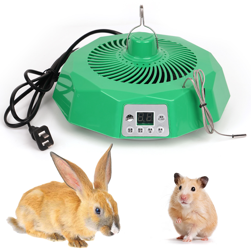 Pet Intelligente Heizung Lampe – Ceramic Heat Emitter Bewertung und Preis