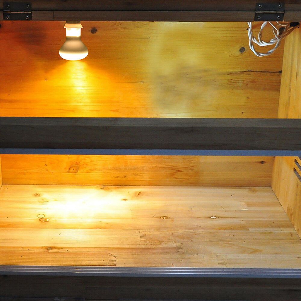 Schildkröten-Heizgerät mit Tem – Basking Bulb Halogen Bewertung und Preis