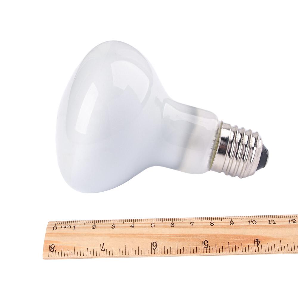 Schildkröten-Heizgerät mit Tem – Basking Bulb Halogen Bewertung und Preis