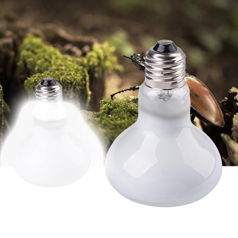 Schildkröten-Heizlampe, Wärmel – Basking Bulb Halogen Bewertung und Preis