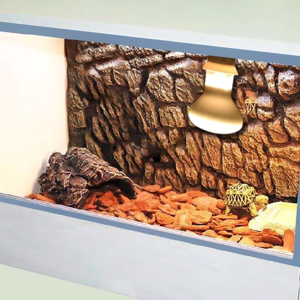 Schildkröten-Heizlampe, Wärmel – Basking Bulb Halogen Bewertung und Preis