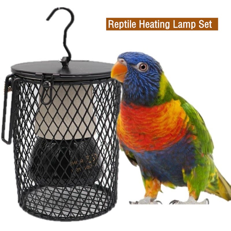 Reptilien-Heizlampe für Schild – Ceramic Heat Emitter Bewertung und Preis