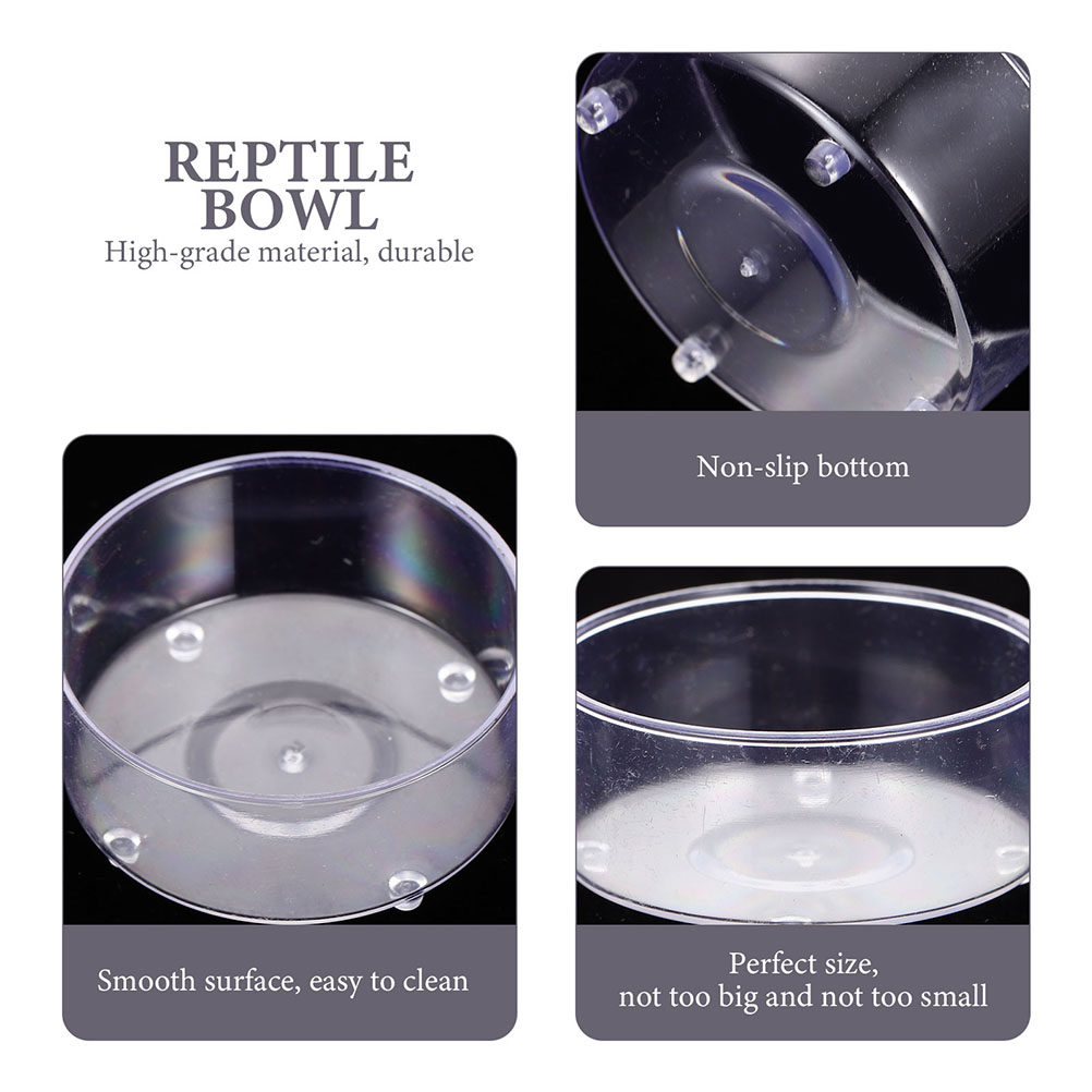 10 Stück Acryl-Futterschalen u – Water Dish Reptile Bewertung und Preis