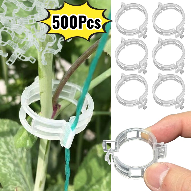 500 Stück Kunststoff-Pflanzens – Vine Climbing Plastic Bewertung und Preis