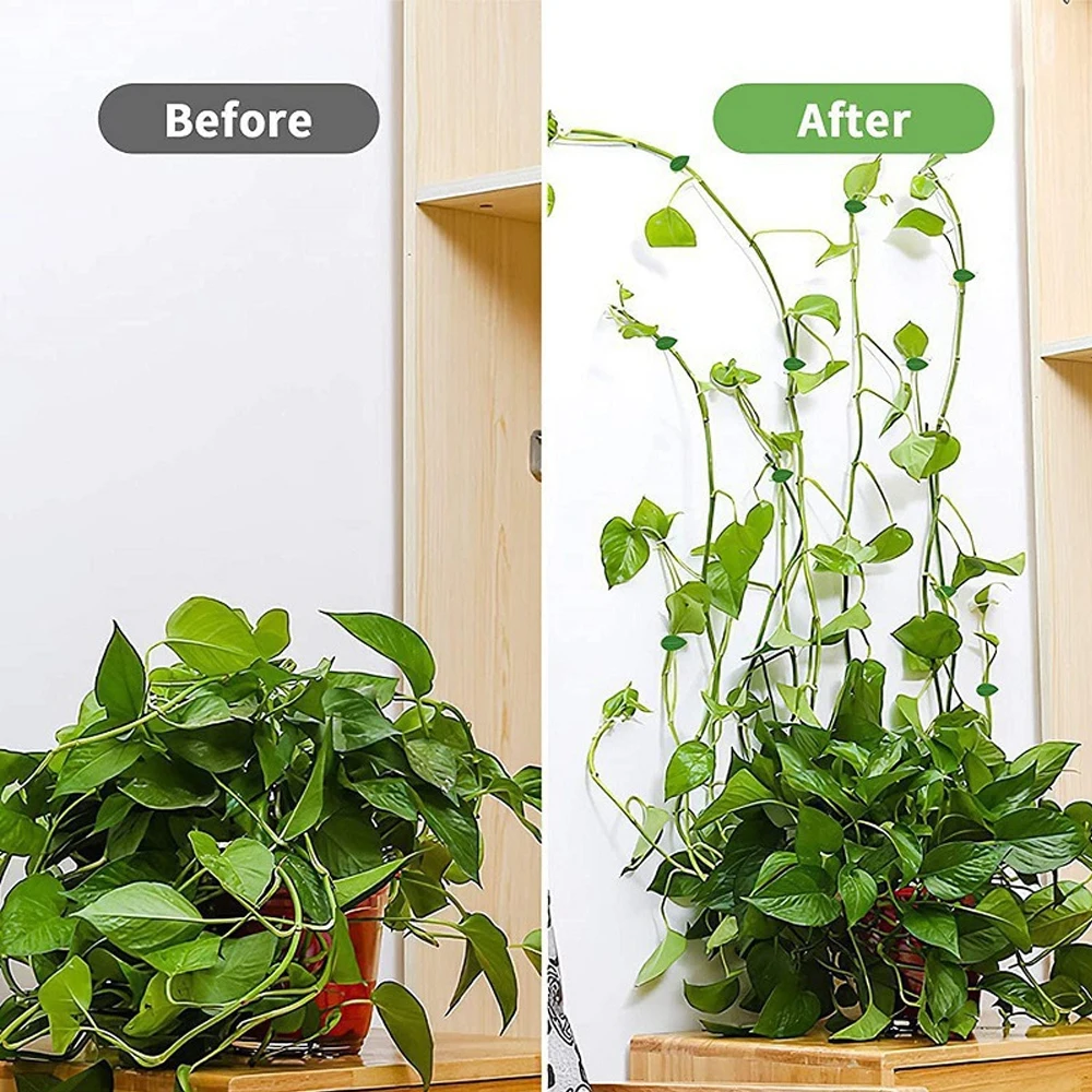 10/30/50 Stück Pflanzen-Klette – Vine Climbing Plastic Bewertung und Preis
