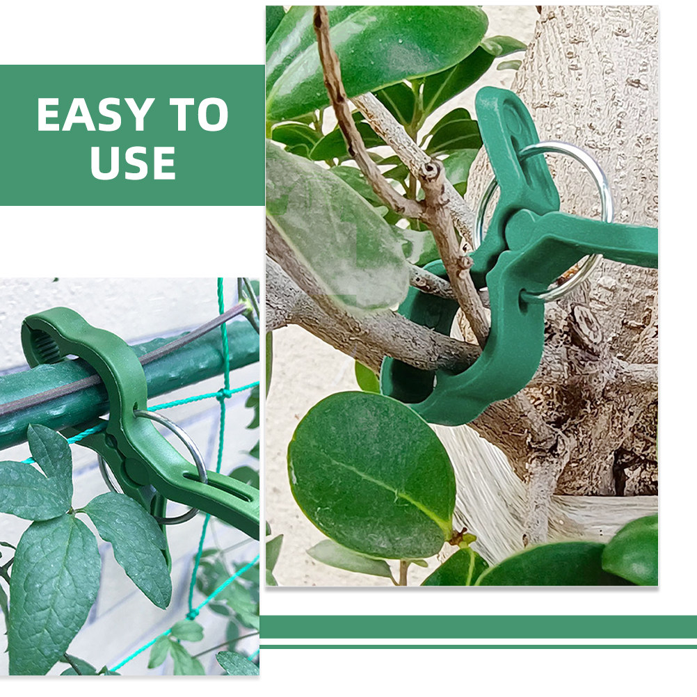 60 Stück Pflanzenstützklammern – Vine Climbing Plastic Bewertung und Preis