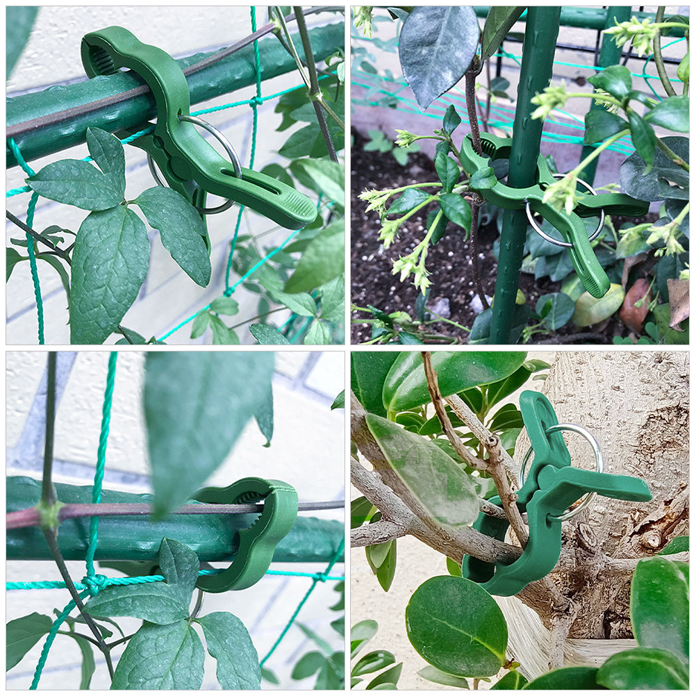 60 Stück Pflanzenstützklammern – Vine Climbing Plastic Bewertung und Preis